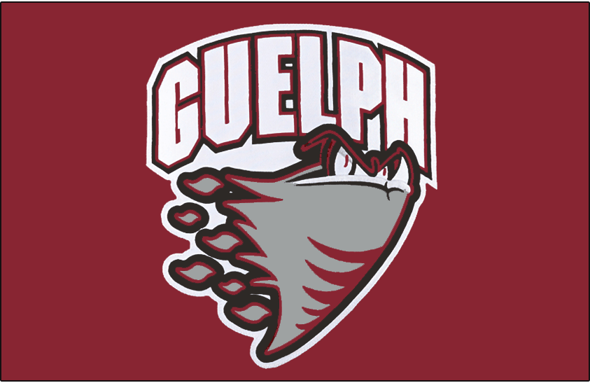 Guelph Storm 2007-2018 Jersey Logo iron on transfers for T-shirts